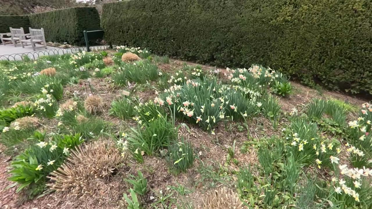 FirmTalk D Young Goat (Bonus Track)