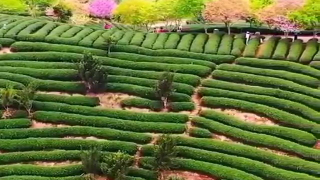 wonders of the world