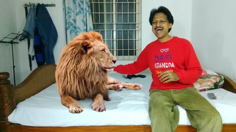 Magic Dekho-35-Lion On Bed