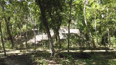 Calakmul - Campeche - HD