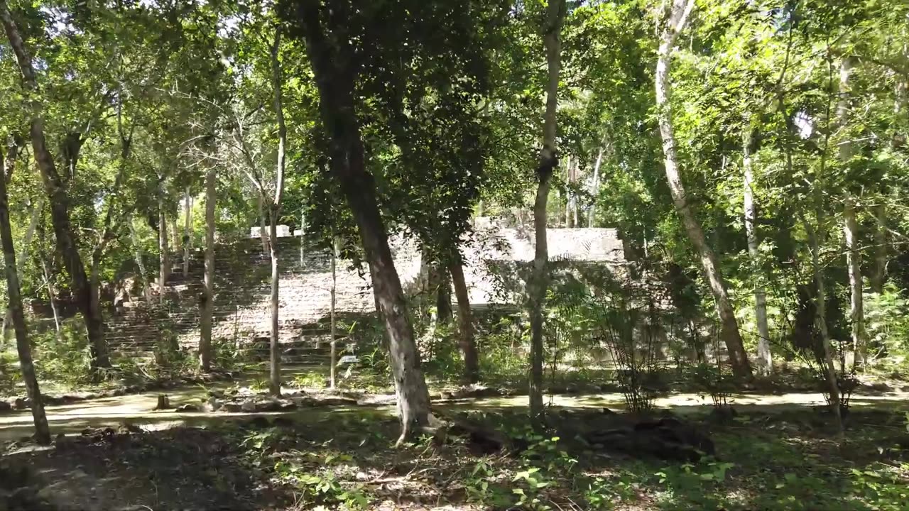 Calakmul - Campeche - HD