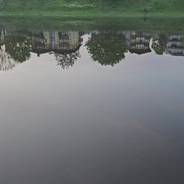 Żabi koncert [Rumble Short]