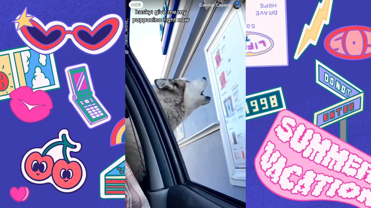 Wait for It… Funniest Twist Ever! 😭🤣