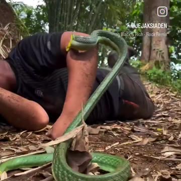 Nobody can copy bro 💀💀