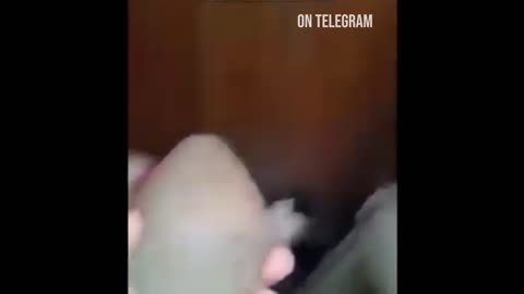 Ancient Egyptian stone artifact. More info in the description area below. ⏬⏬