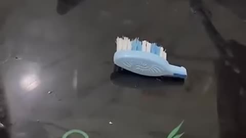 Incredible: Kitchen tips -82 cleaning hacks #useful tips #shorts #shortsfeed #ki
