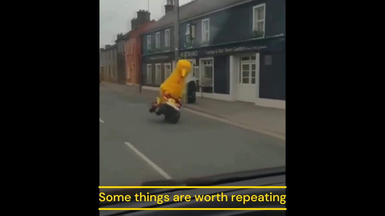 Big Bird violating traffic laws