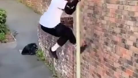 😂🤸 Epic Parkour Fail! You Won't Believe What Happens Next! | FunFM