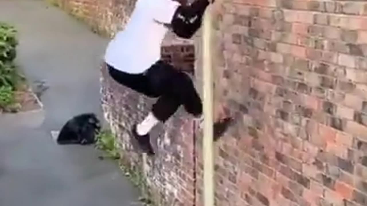 😂🤸 Epic Parkour Fail! You Won't Believe What Happens Next! | FunFM