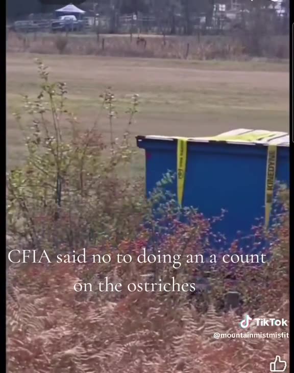 bins are coming and going, along with a pumper truck and a RCMP groupie.