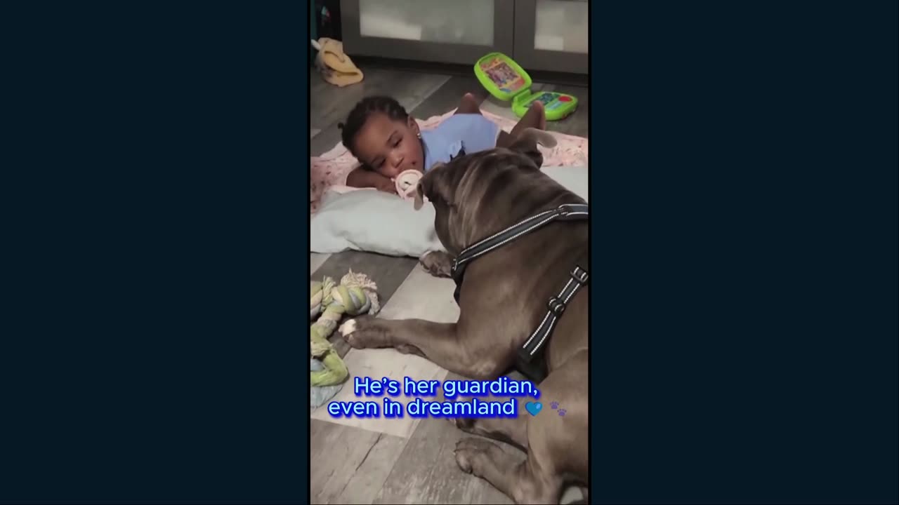 Meet Blue and his family