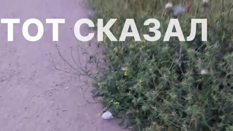 Выбор между хаджем и ужином с матерью - что важнее