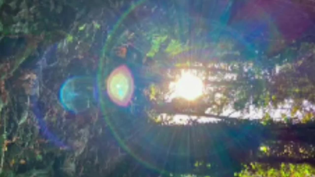 Sun vibes