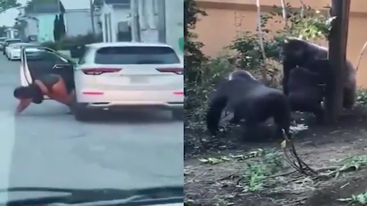 The Fatigue has reached maximum levels.