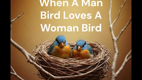 When A Man Bird Loves A Woman Bird