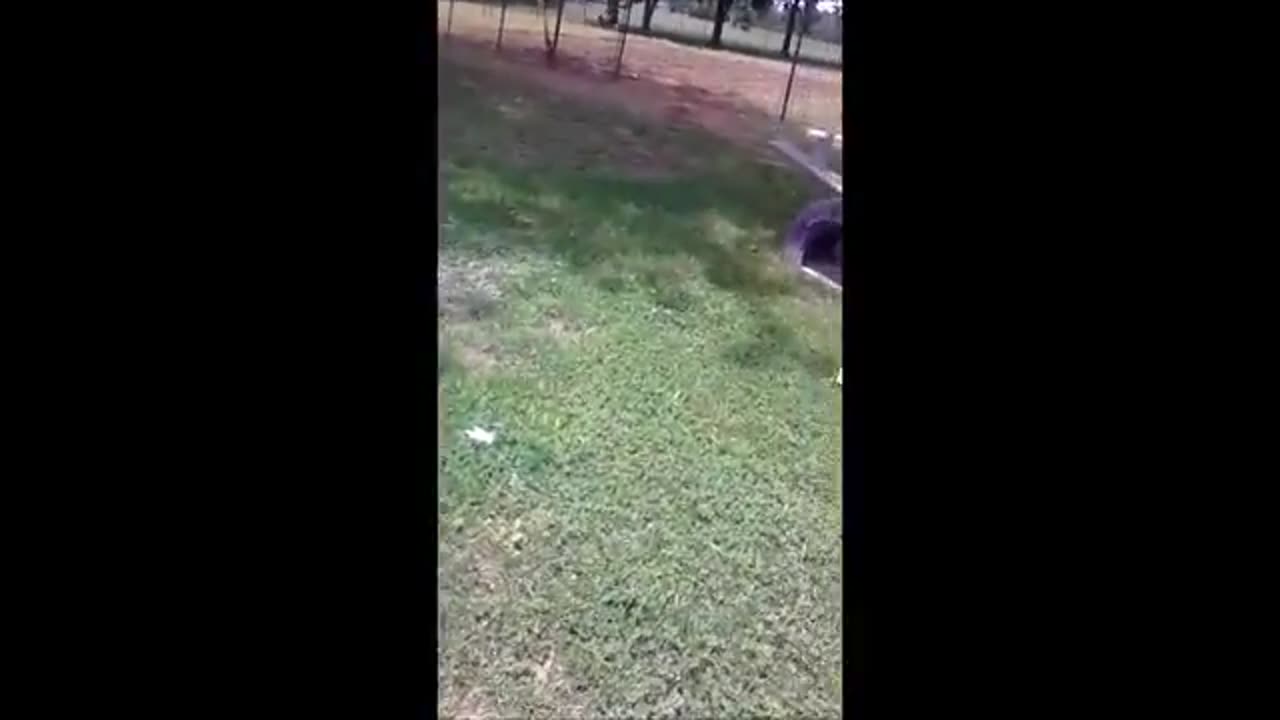 Niece Rides Mini-Bike for the First Time