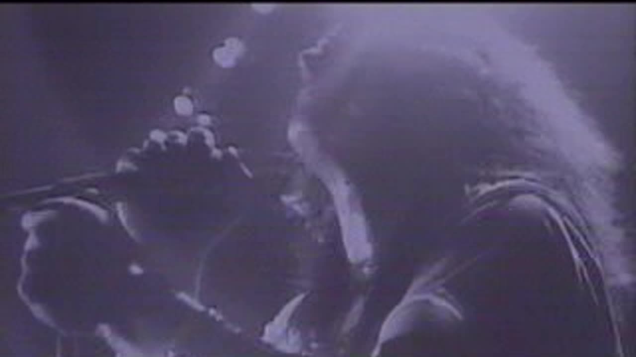 Black Sabbath with Ozzy Osbourne - Snowblind = Live London 1978