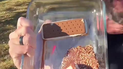 American Ice Cream is under-fire for having zero mold in 6 months.