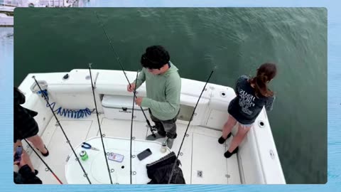 LIVE at Dana Wharf with Fish for Life! #789