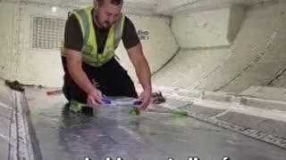 Una serpiente causa retraso de vuelo en Australia