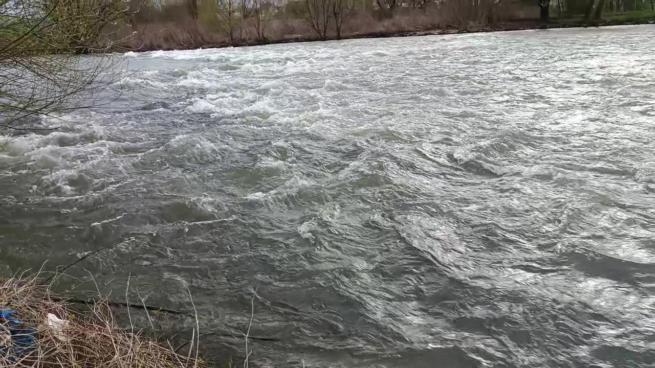 River nature