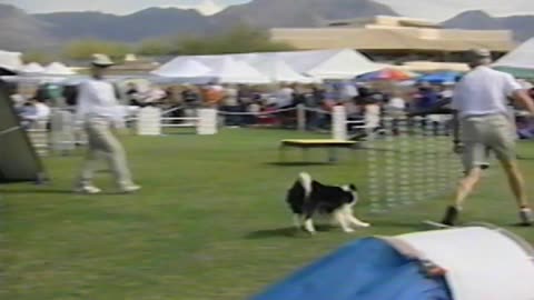 Your New Dog And You - A Beginner's Guide to Dog Care and Training [Full VHS]