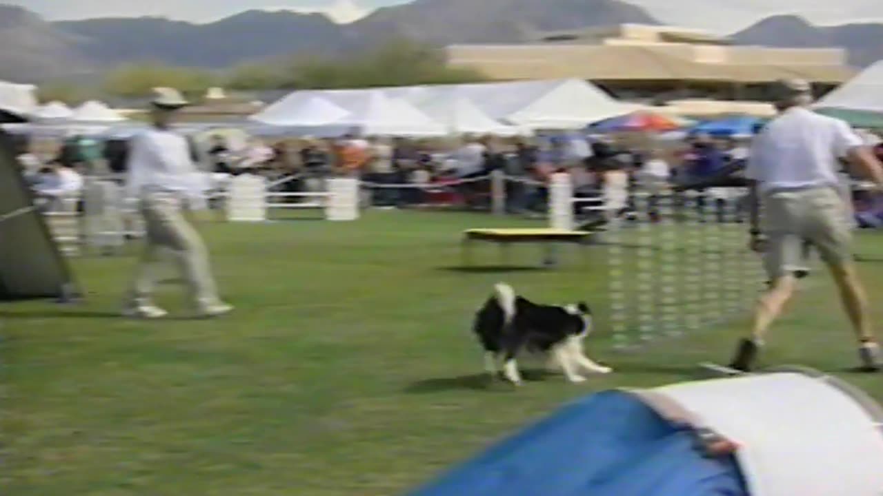 Your New Dog And You - A Beginner's Guide to Dog Care and Training [Full VHS]