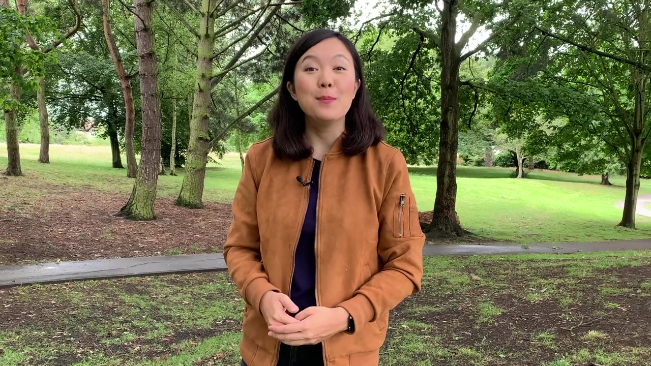 The Tragic Story of Nikola Tesla