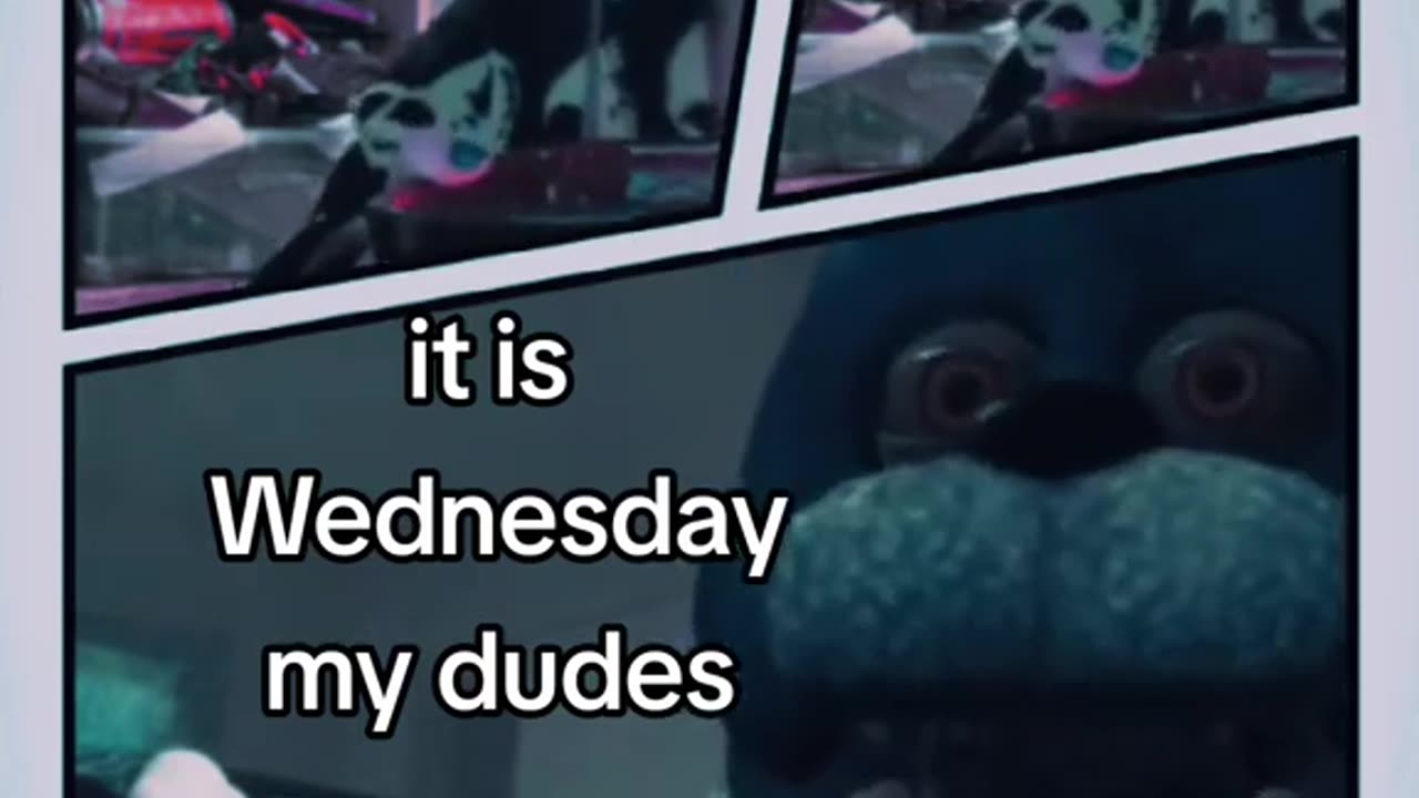 It is Wednesday my Dudes