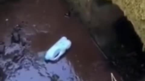 👻😱 What Is That Thing? Eerie Encounter Caught on Camera! | TheHauntingHour