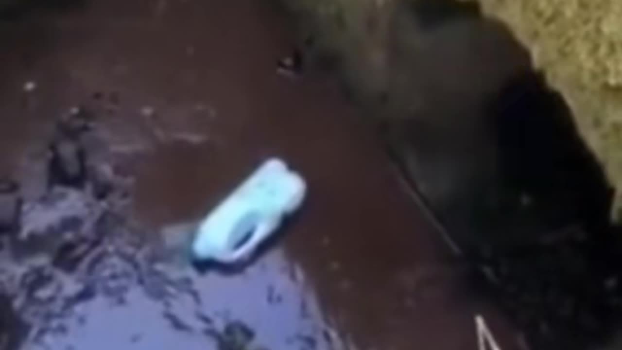 👻😱 What Is That Thing? Eerie Encounter Caught on Camera! | TheHauntingHour