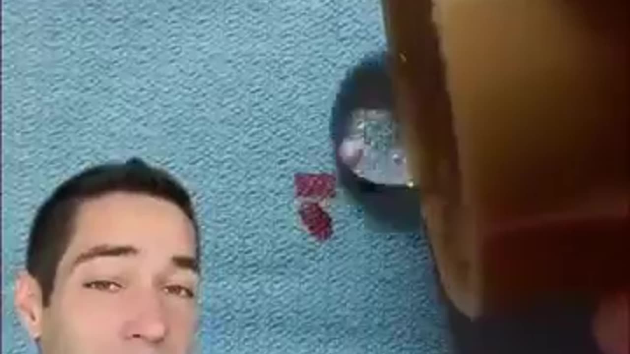 🤯✨ What Happens When Blood Meets Hydrogen Peroxide? | FeedMyCuriosity