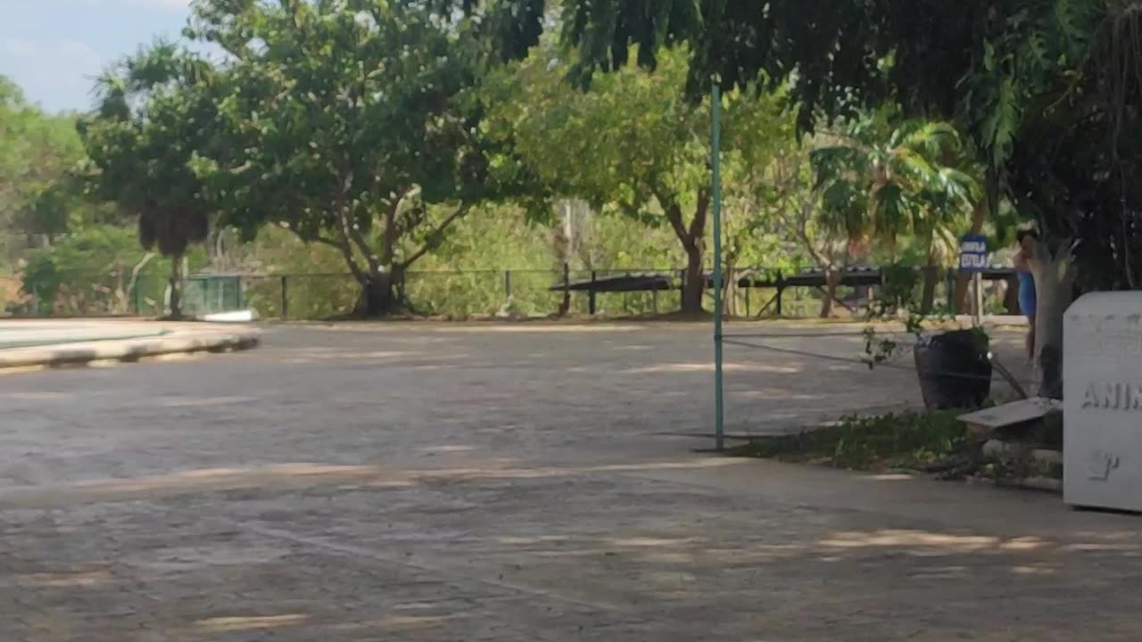 Animaya - Mérida - Yucatán - 4K