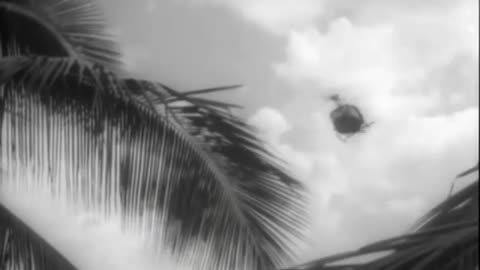 Vietnam war music video wild horses opps