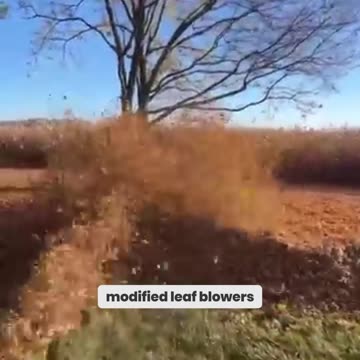 The Ugly Truth About Autumn You Didn’t Know!