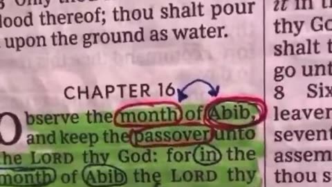 When is the New Year?