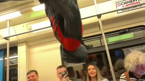 Spider-Man in the Subway
