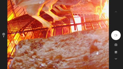 Chicks at Six: Feathered Frenzy