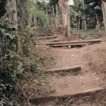 🇧🇴 "COROICO" La SELVA BOLIVIANA 👉 Un PARAISO ❓❓ #1 #shorts