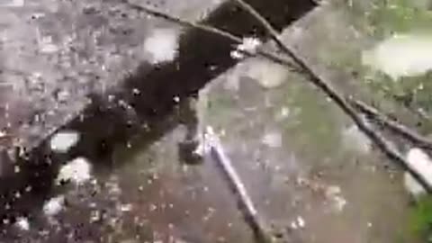 💥🐺 Ukraine Russia War | Wolfhounds’ Mortar Strike in Vovchansk | RCF