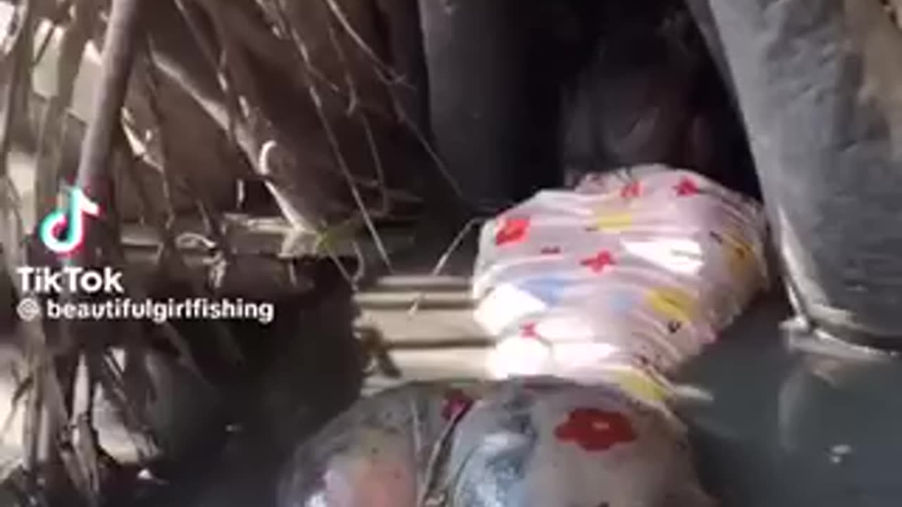 Beautiful thing to see| beautiful girl fishing
