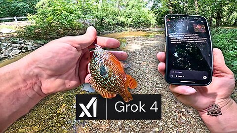 Urban Creek Fishing UNEDITED: Over an Hour Long at Drake's Creek with xAI Grok4