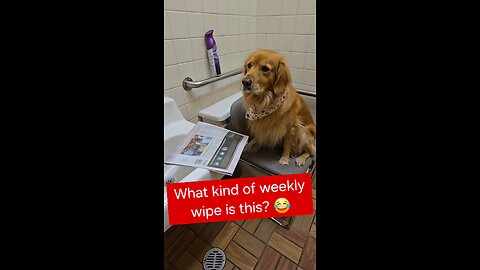 What kind of Weekly Wipe is this?
