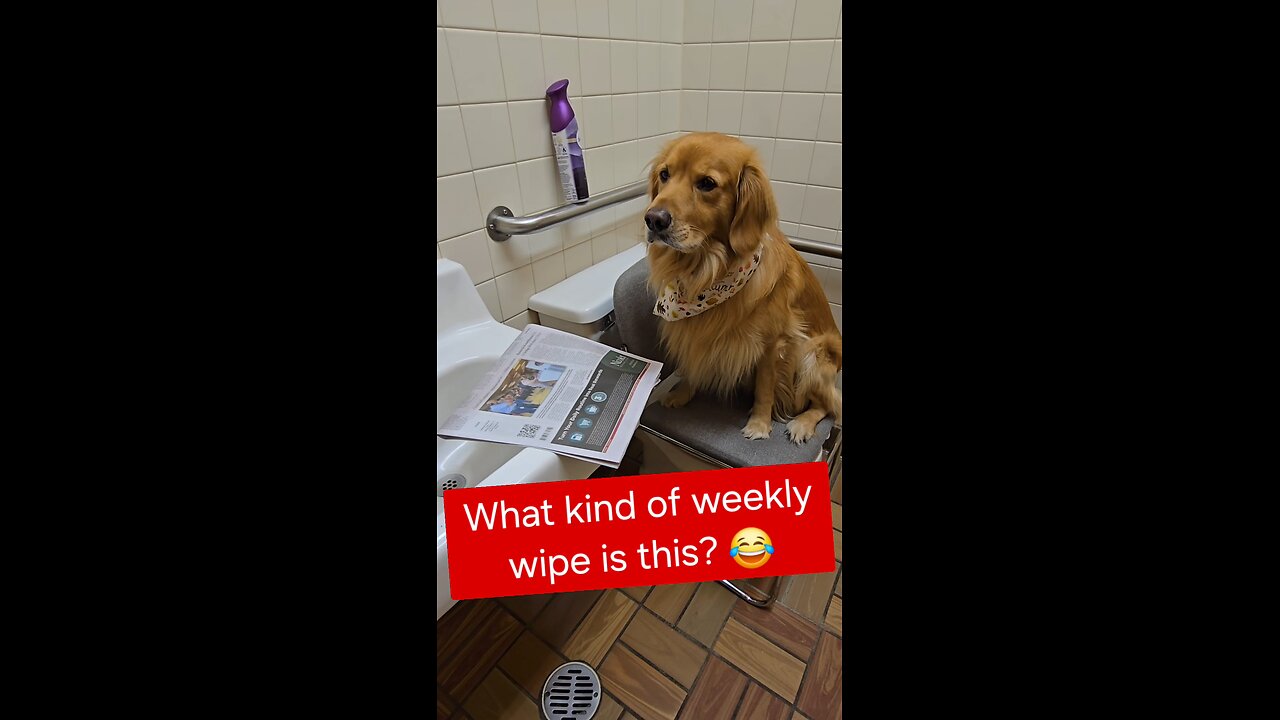 What kind of Weekly Wipe is this?