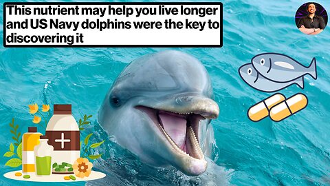 The Nutrition Your Body Was Missing Was Just Discovered Underwater, By Dolphins!