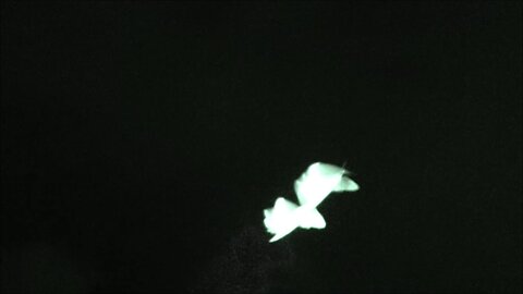 UFO IDENTIFIED Barbell ET Drones Over Adelaide 16 to 20 April 2025