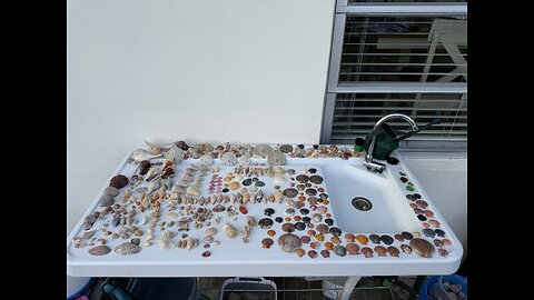 Beach Finds 2/4/2026 | 4K