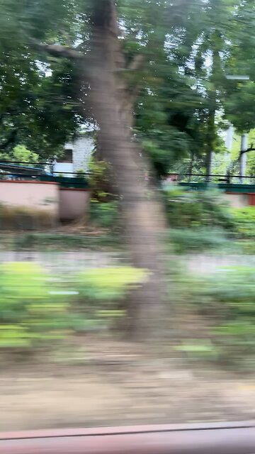 Delhi’s Green Side 🌿 | Beautiful Nature in the City #shorts