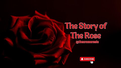 So What Had Happened Was....