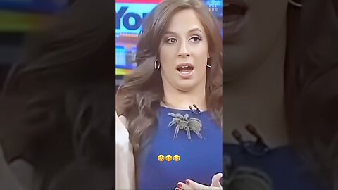 Funny Animals news bloopers #funnyanimals #animals #pets #shorts